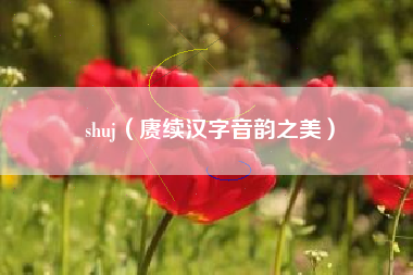 shuj（赓续汉字音韵之美）