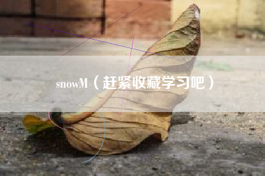 snowM（赶紧收藏学习吧）